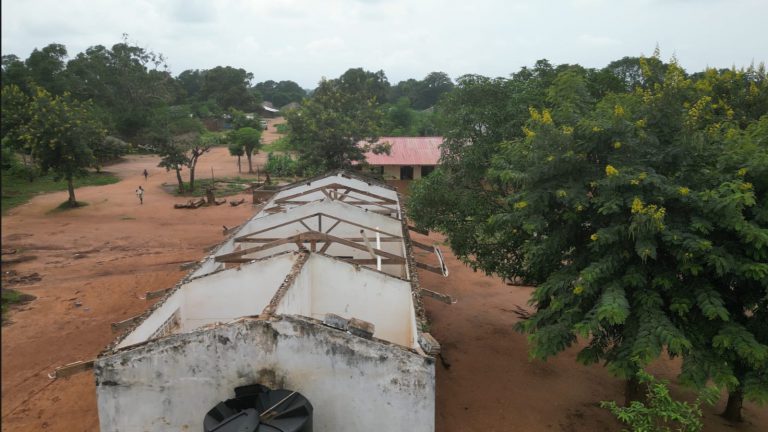 WhatsApp Image 2025-11-07 at 19.08.21 (3)